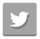 Twitter Twitter